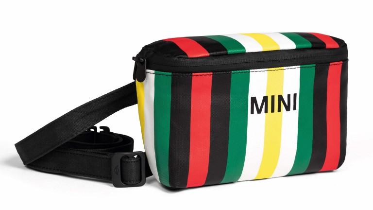 MINI Striped Belt Bag