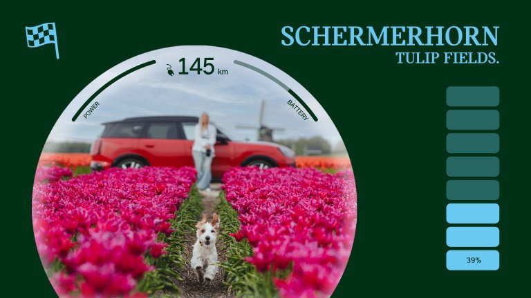 Paya the dog bounding through a field of pink tulips, with Katarina Višekruna, the all-electric MINI Countryman, and a traditional mill captured in the background.