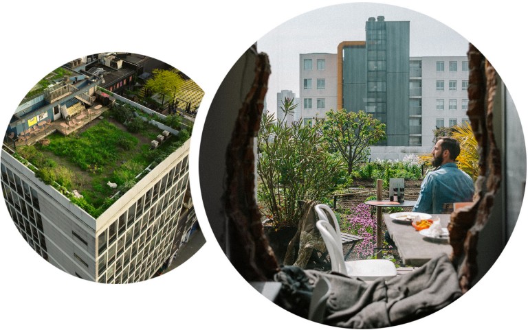 Overhead view of the DakAkker Rooftop Café, an open-air roof farm located at the top of the Shieblock in Rotterdam. Uros Višekruna is pictured sat at a table in the DakAkker Rooftop Café, surrounded by plants with a view of Rotterdam’s skyline.