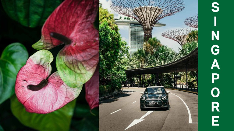 On the left a tropical flower, on the right a MINI Cooper SE at the Gardens by the Bay – Singapore’s landmark.